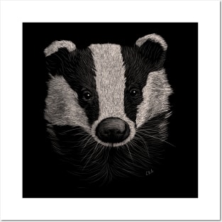 European Badger Posters and Art